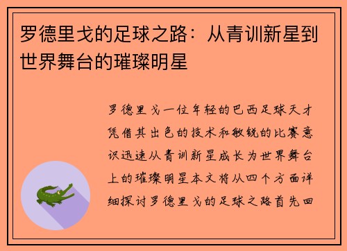 罗德里戈的足球之路：从青训新星到世界舞台的璀璨明星